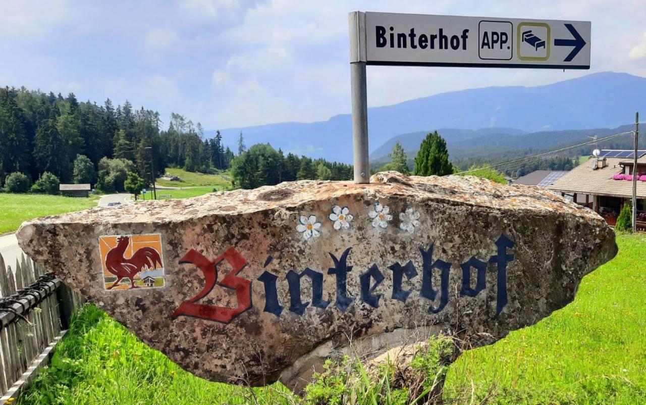 Binterhof Διαμέρισμα Castelrotto Εξωτερικό φωτογραφία